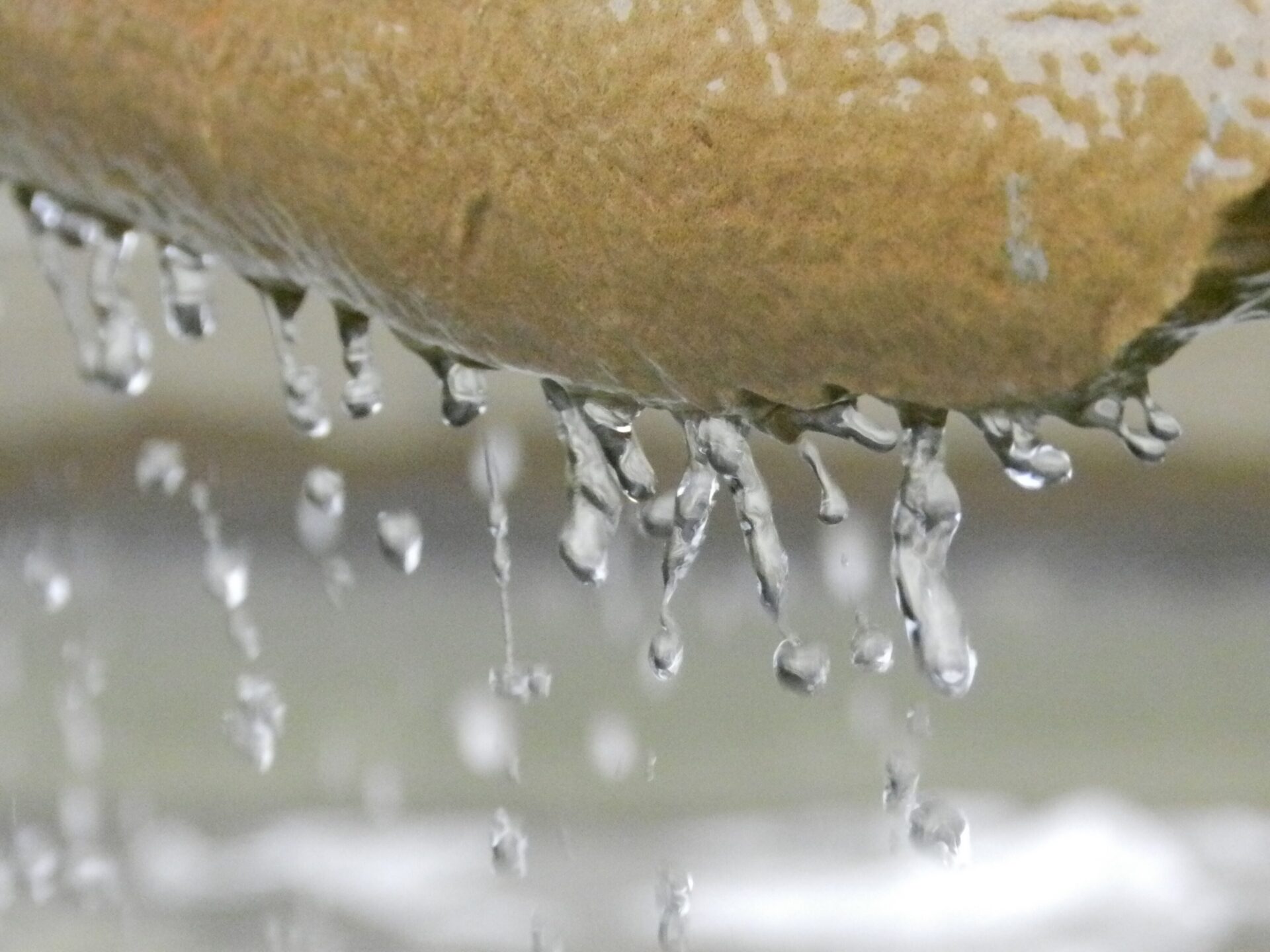 leaking system